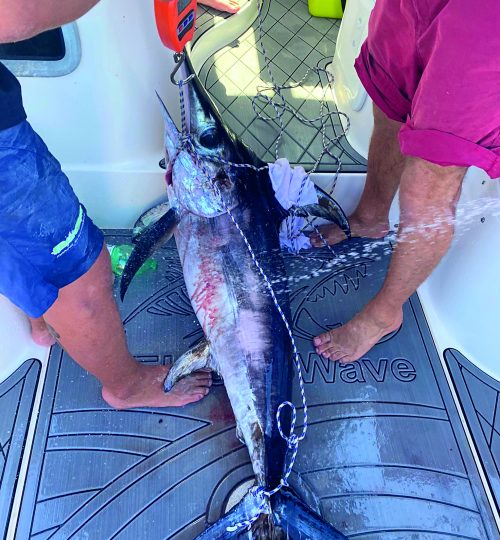 Pesca_Inserito
